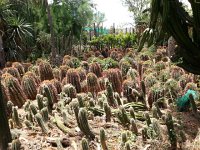 24 November Graaff-Reinet and Sunday Valley